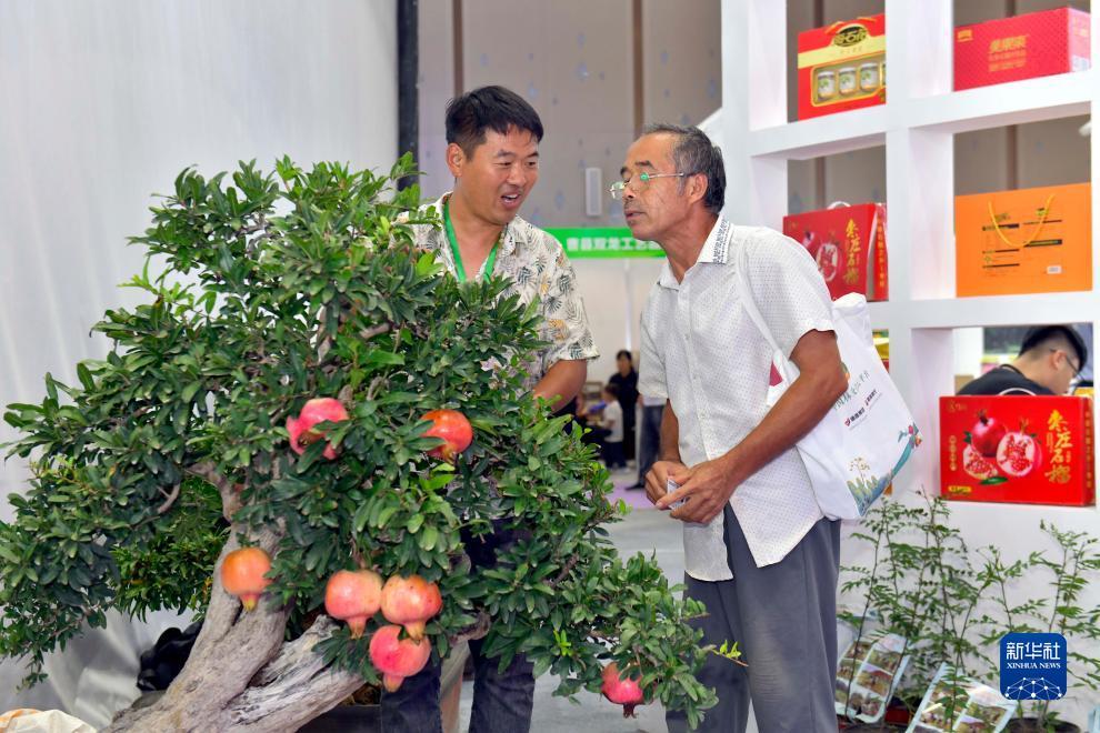 永利集团手机在线登录